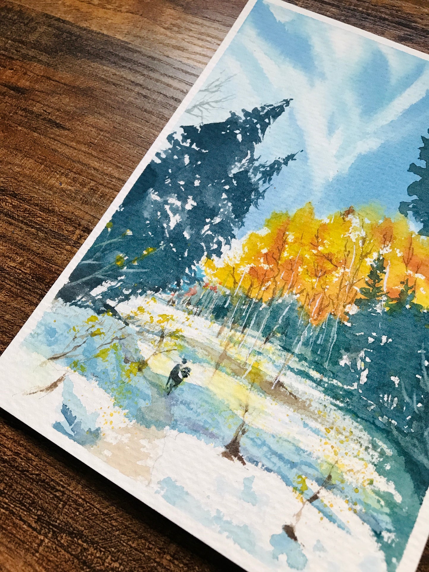 Snow covered Bloods Lake Trail Art Print | 5x7